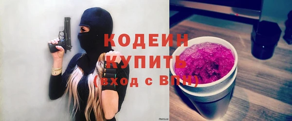 индика Лабытнанги