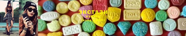 индика Лабытнанги