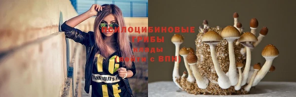 индика Лабытнанги