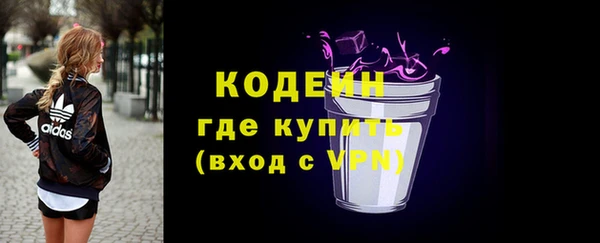 индика Лабытнанги