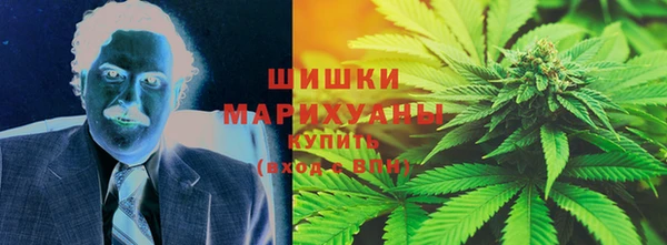 индика Лабытнанги