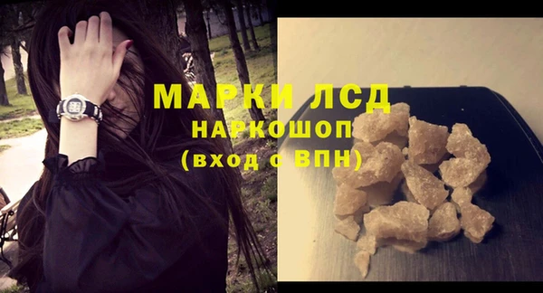 индика Лабытнанги