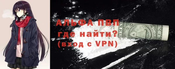 индика Лабытнанги