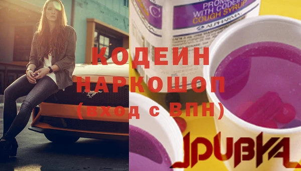 индика Лабытнанги