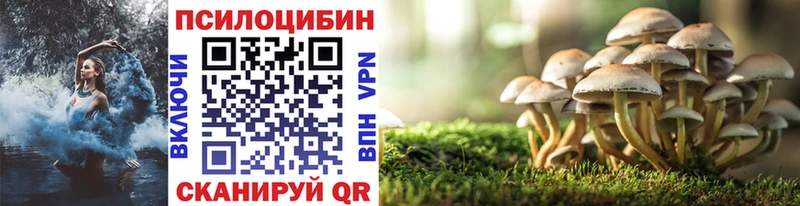 Галлюциногенные грибы Magic Shrooms  продажа наркотиков  Меленки 